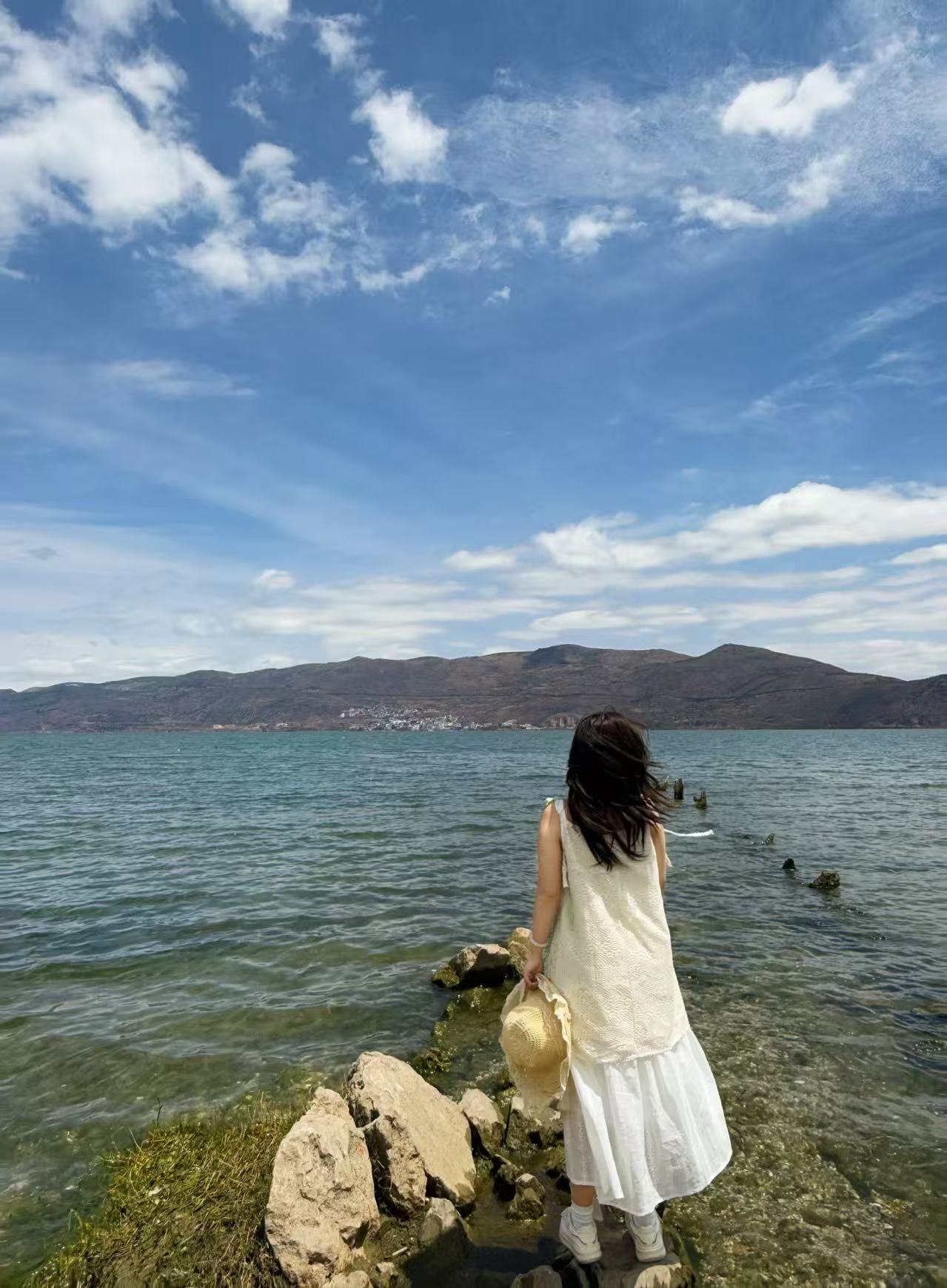 large picture of the cover